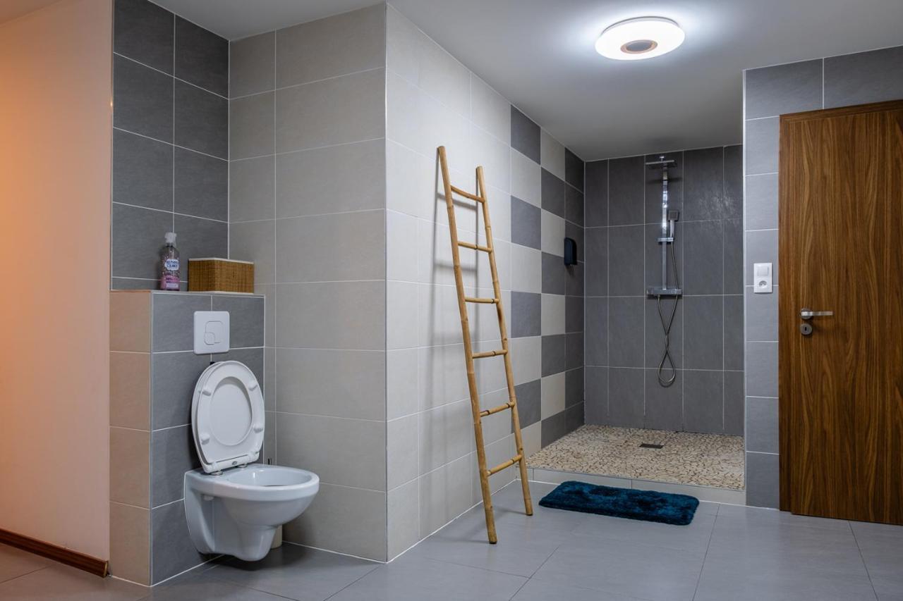 Appartement Standing Piscine Interieur Privatisee . Mutzig Extérieur photo